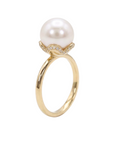 The Solitano Ring
