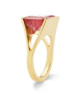 The Tate Ring